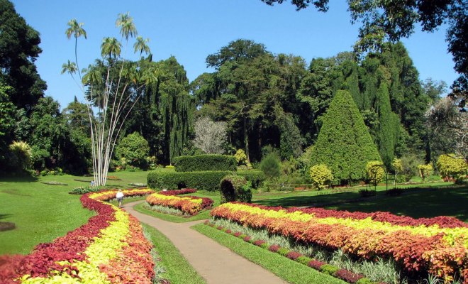 Penang Botanical Gardens